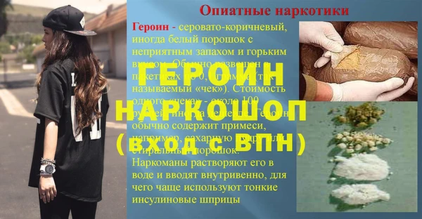ГАЛЛЮЦИНОГЕННЫЕ ГРИБЫ Михайлов