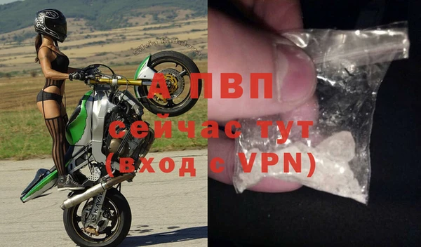 сатива Навашино