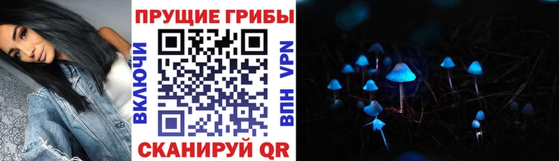 цены   Никольское  Галлюциногенные грибы мухоморы 