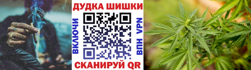 Шишки марихуана сатива  Никольское 